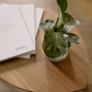 Detailaufnahme Beistelltisch aus Holz mit Schreibblöcken und Pflanze